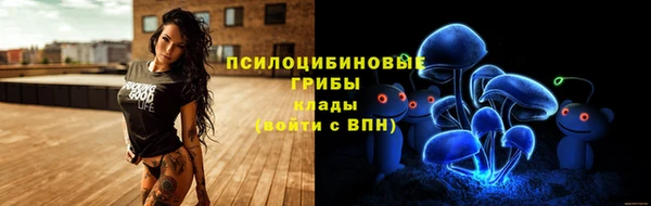 крисы Алексеевка