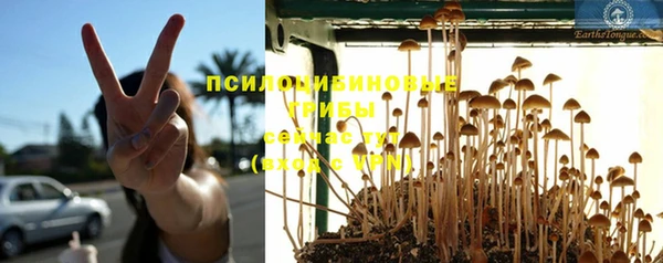 крисы Алексеевка