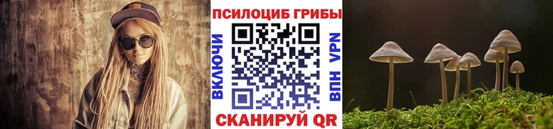 где купить наркоту Курск Псилоцибиновые грибы GOLDEN TEACHER